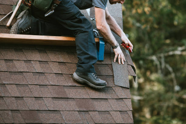 Best Roof Repair Services  in Vienna, WV
