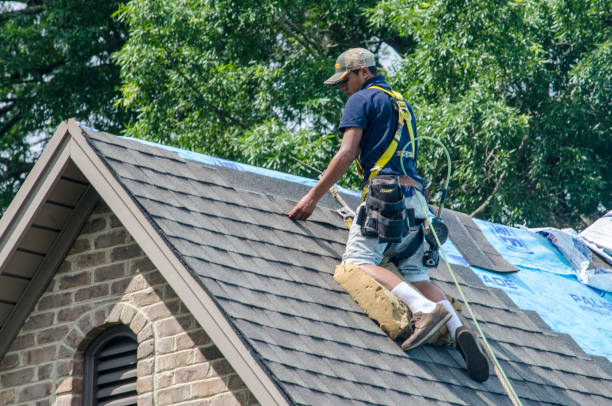 Best Gutter Installation and Roofing  in Vienna, WV